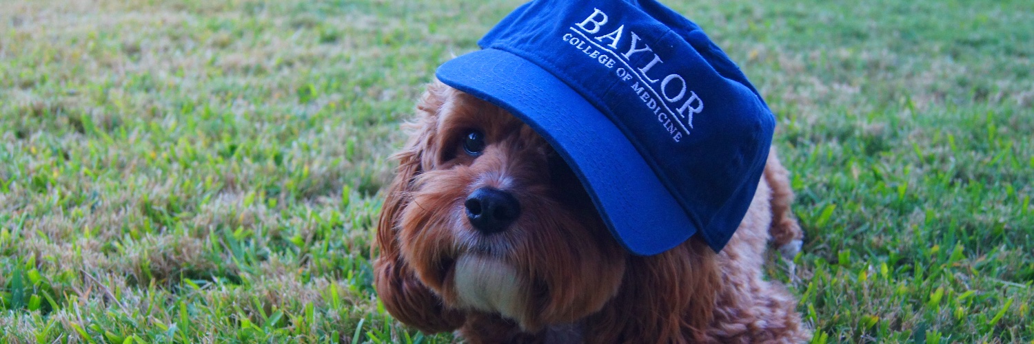Taylor Nack, MD banner