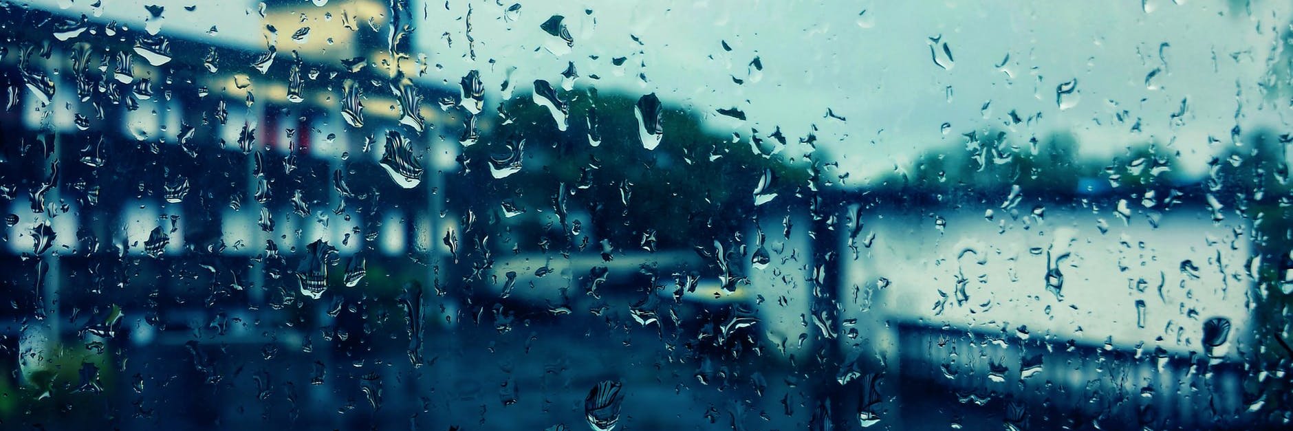 Michael Lilly banner