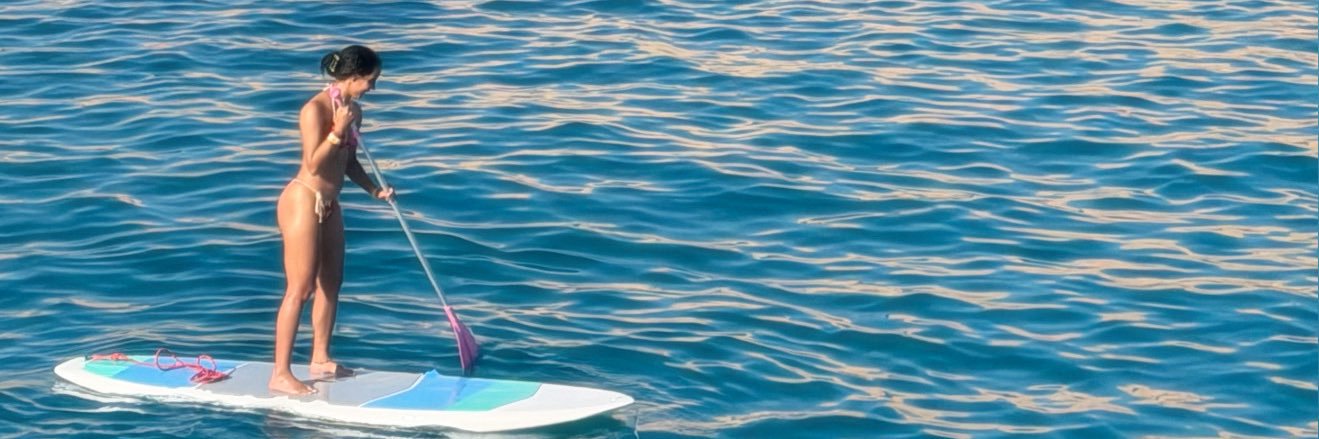 ☆ ☆ ☆ ☆ ☆ banner