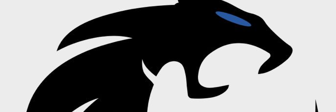 Brandon Rushing banner