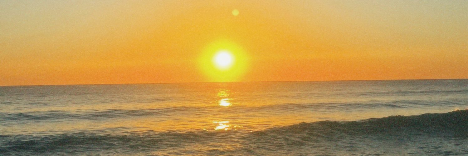 rinacatas's profile banner image