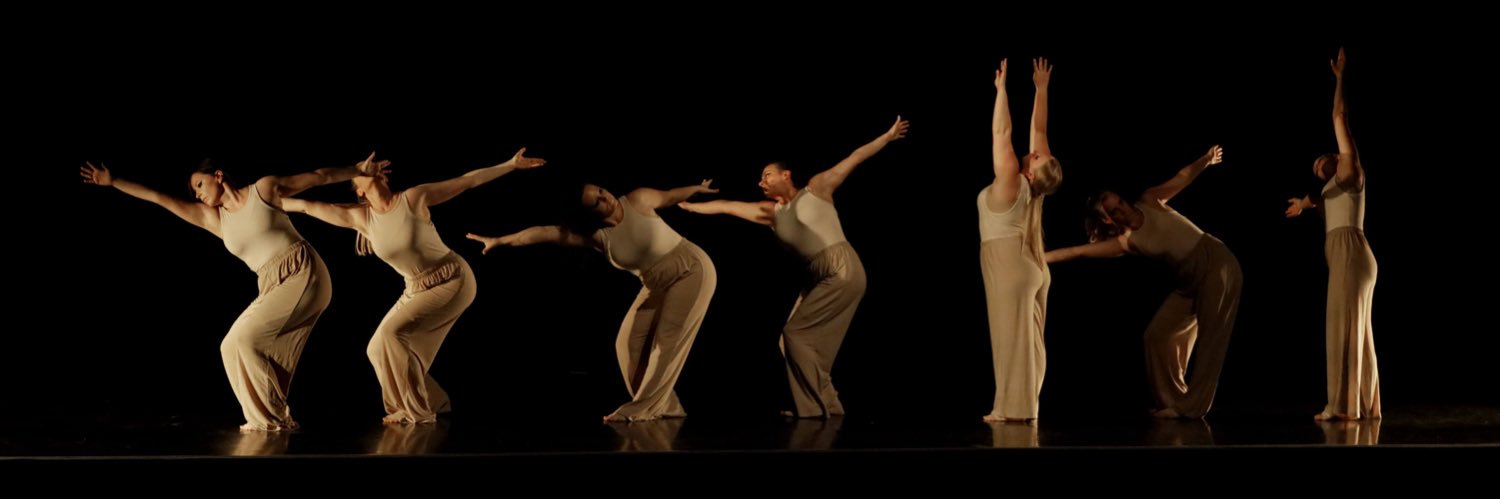 Fédération Française de Danse banner