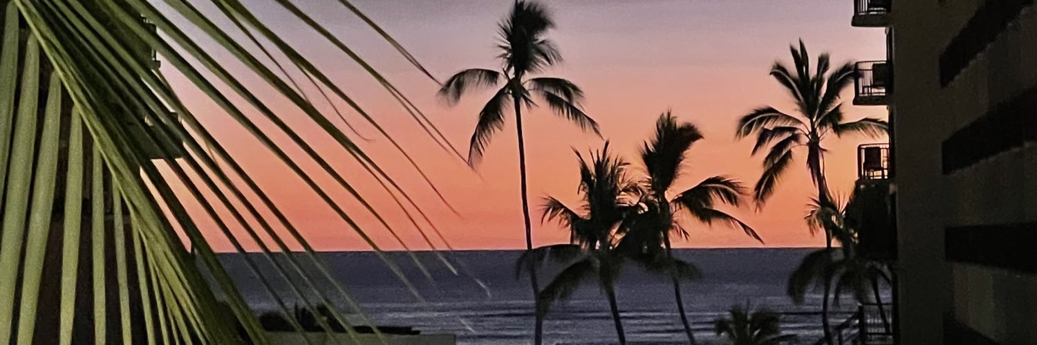 polcock's profile banner image