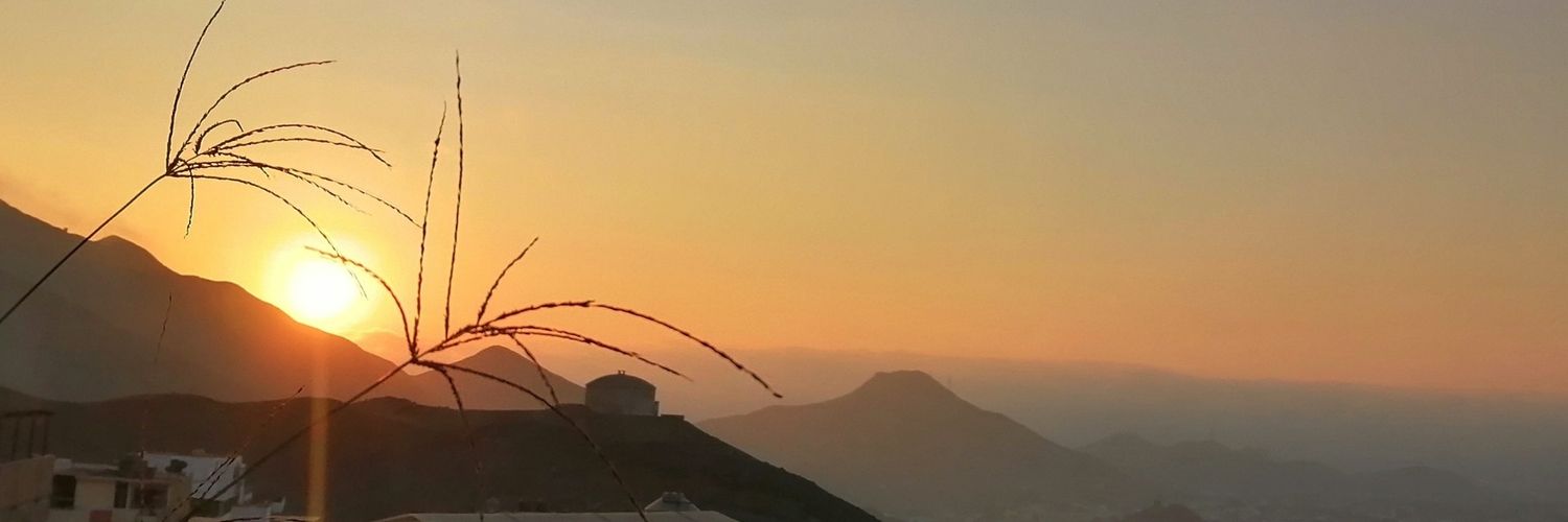 sariarze's profile banner image