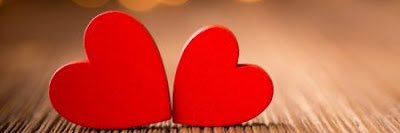 زهرة الأوركيد 🌸 banner