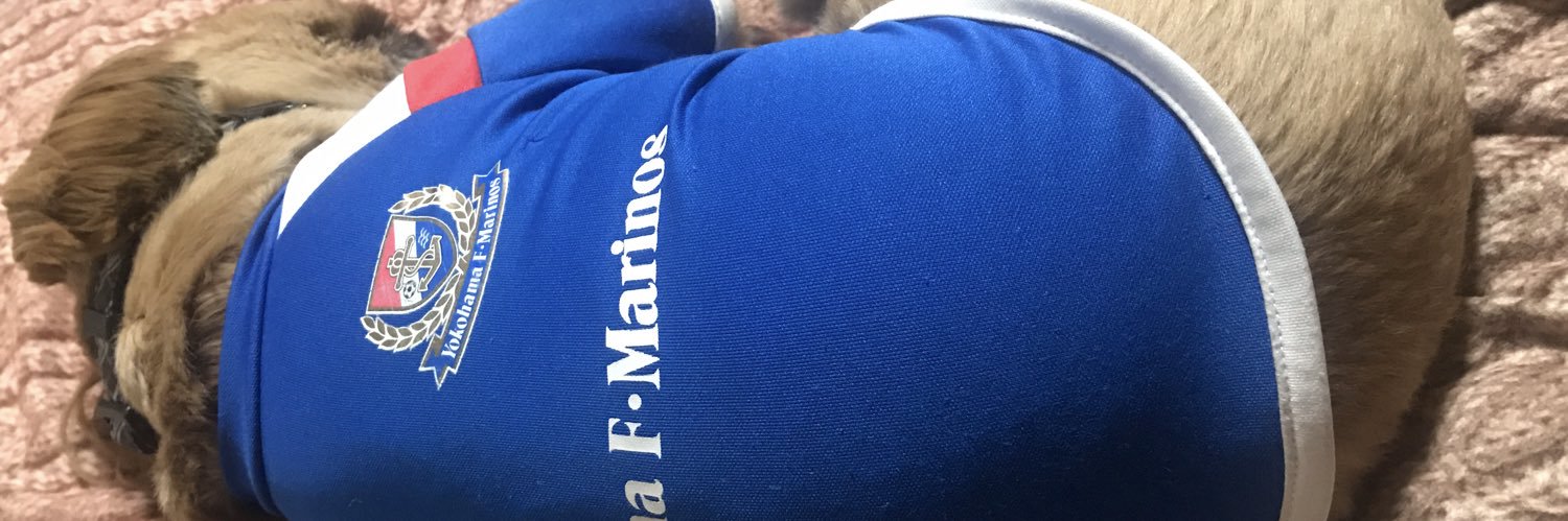 mackey🇫🇷⚓️ banner