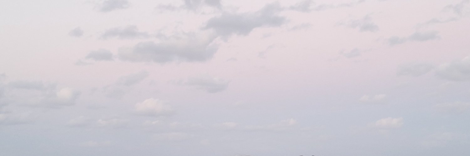 Lavinia P. Middleton MD banner