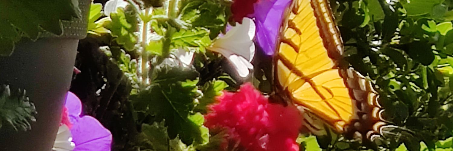 Kimmersme2's profile banner image