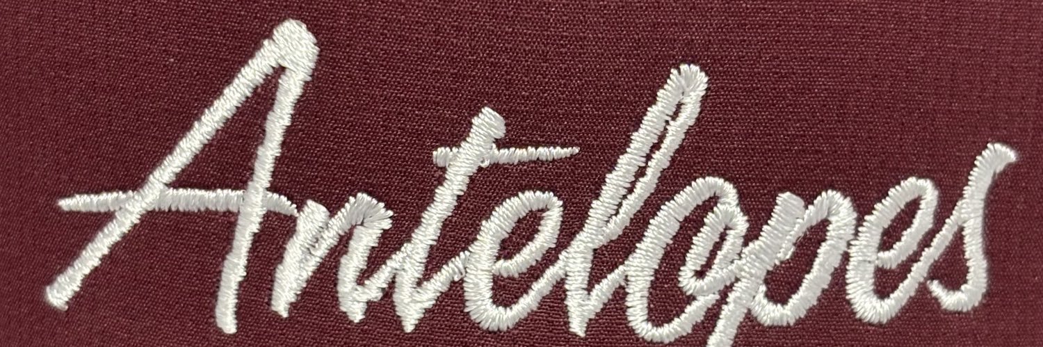 Lady_LopesHoops's profile banner image