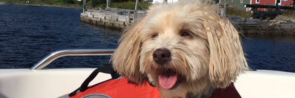 leonhunt44 Profile Banner