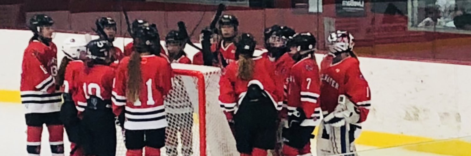 U12bRed's profile banner image