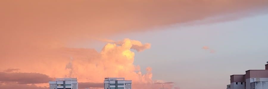 denisectio's profile banner image