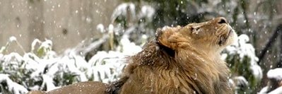RhondaJessee's profile banner image