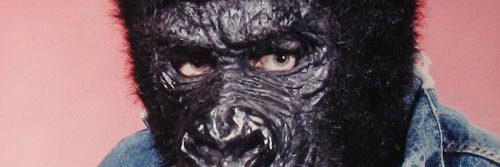 hadolfritler666's profile banner image