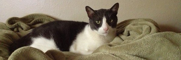 EvanMakes Profile Banner