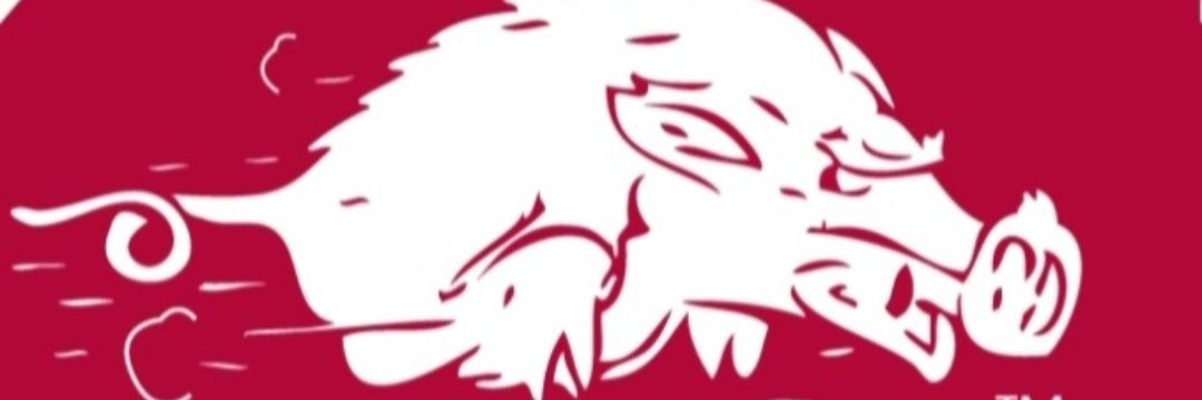 Zarglos's profile banner image