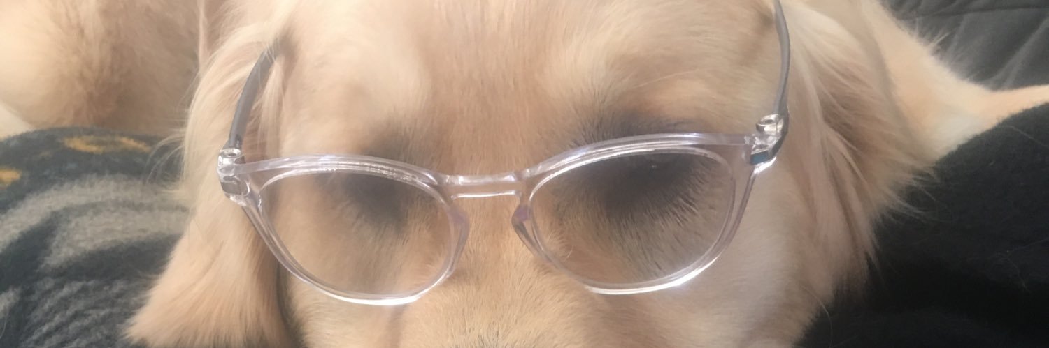 BlasCindy's profile banner image