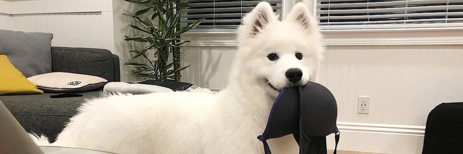 AMaci33's profile banner image