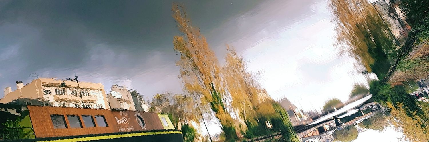 LoizeauLoue's profile banner image
