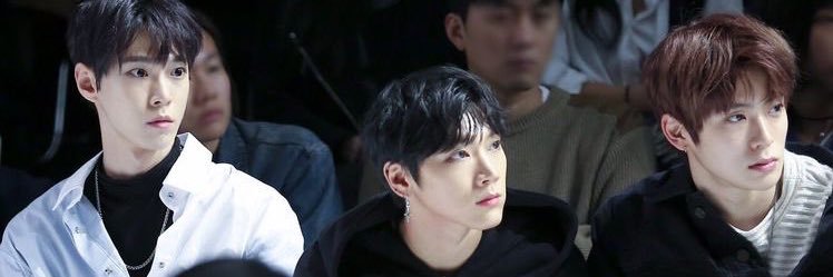 pwn 🏖️🐰🌿 banner