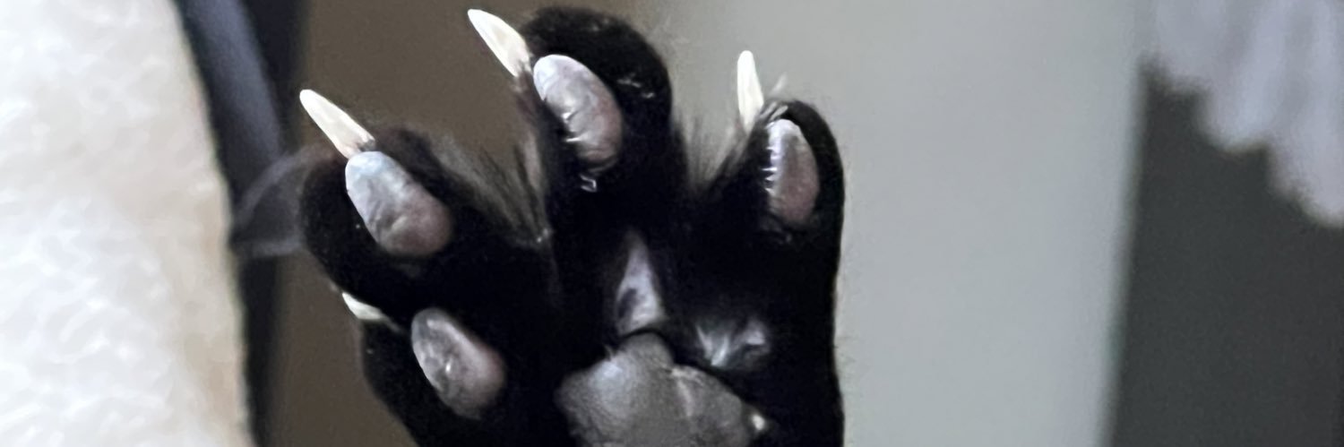 michelledamnit's profile banner image