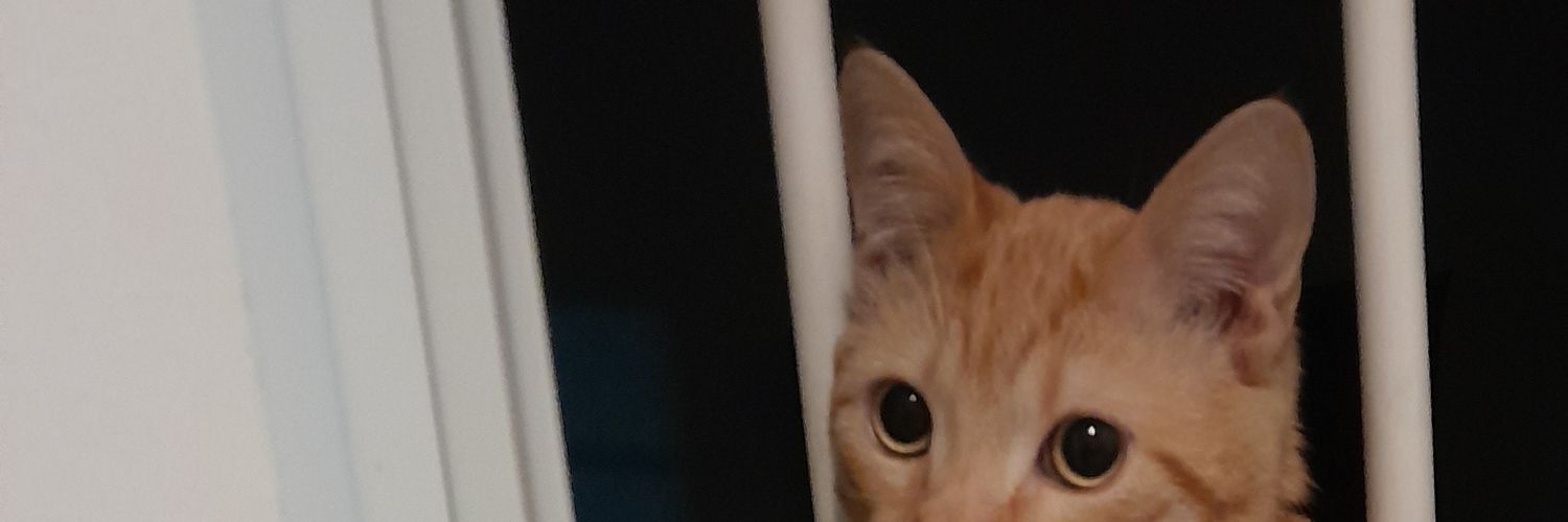 vickyGaleote19's profile banner image