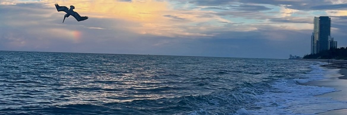 D_DeSimone36's profile banner image