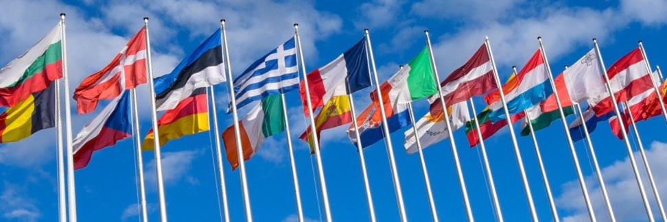 Sacha Halphen banner