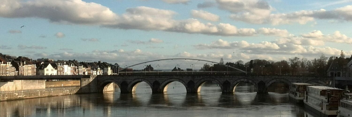 Mignon Schichel banner