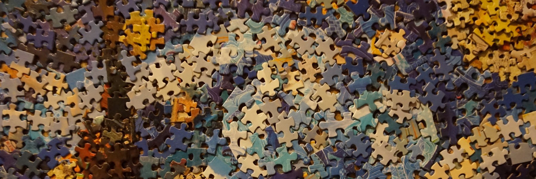 Ryan Langewisch banner