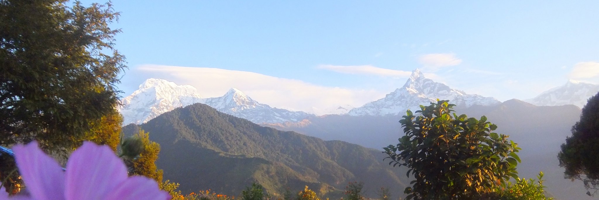 Sameer Gurung banner