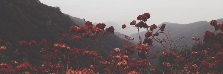Nugrob808's profile banner image