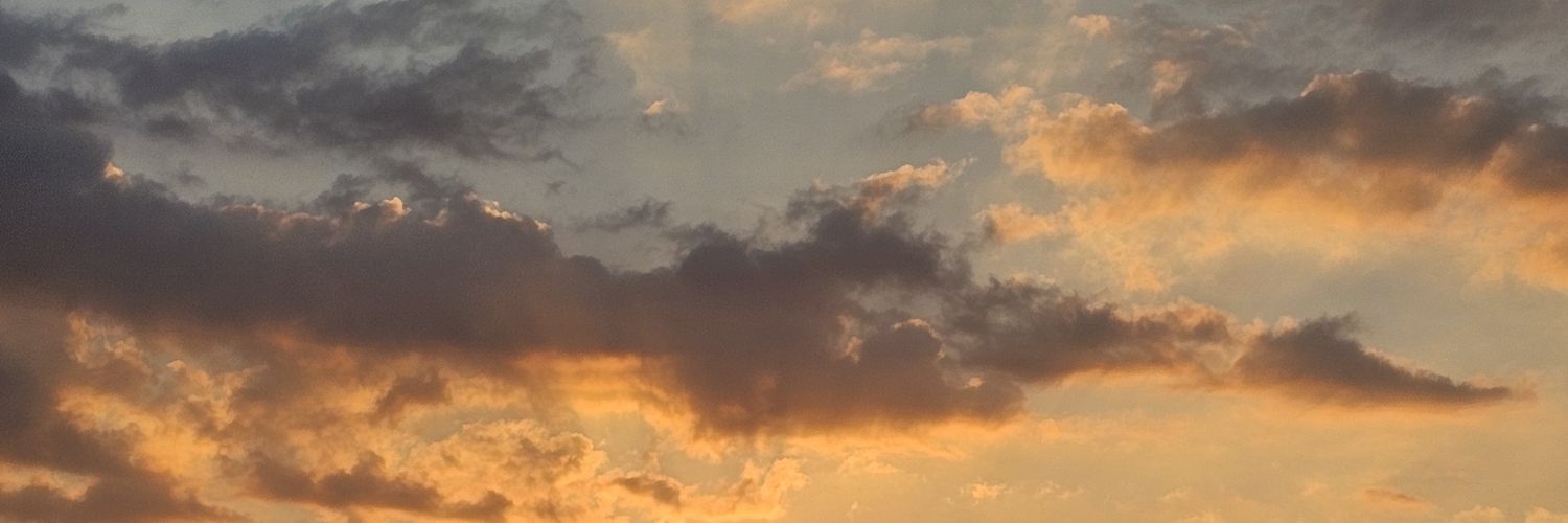 margarethark's profile banner image