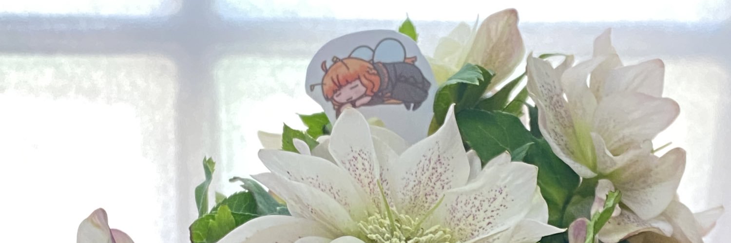 89hotaru's profile banner image