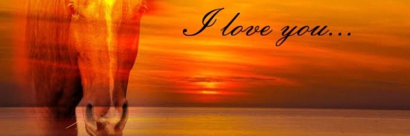 Echolocation 👧 banner