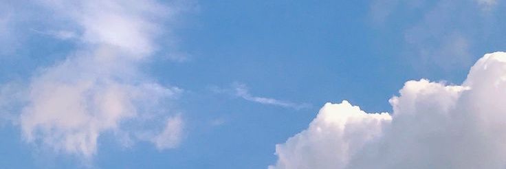 holamhew's profile banner image