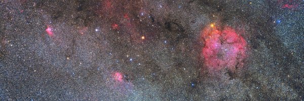 883_Enif Profile Banner