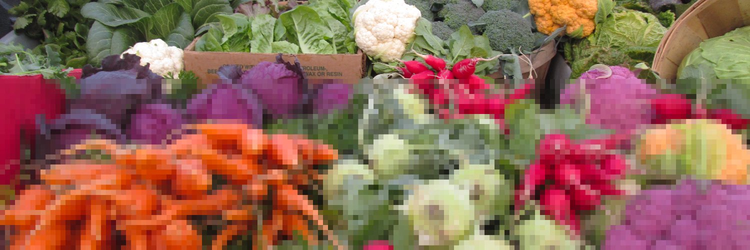 BITMAN@文旦 banner