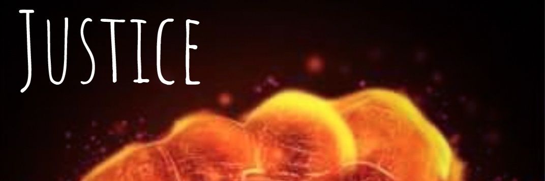 ⚖️Justice-Silence🇫🇷🤫 banner