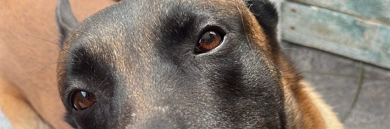 Lugo997's profile banner image