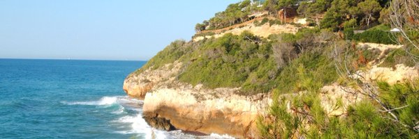 Mesaglio Profile Banner