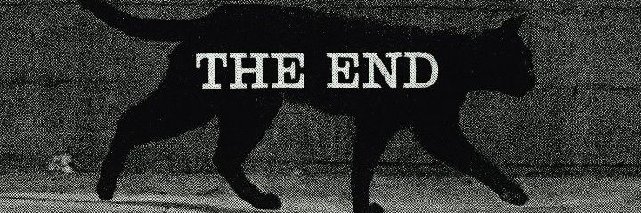 shir98__'s profile banner image