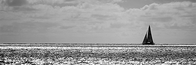 cruisecritics's profile banner image