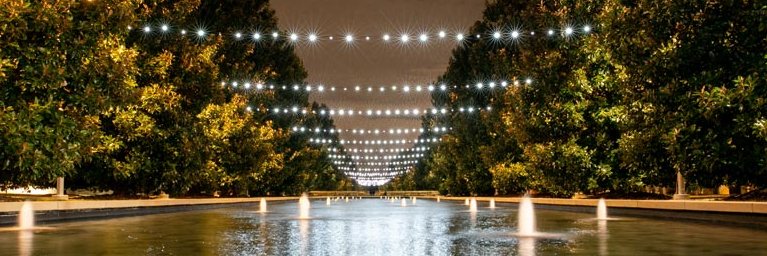UTD HOMECOMING banner