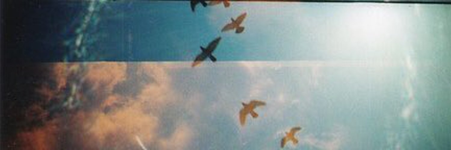 anyakt's profile banner image
