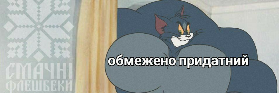 Пан Фахівець's banner