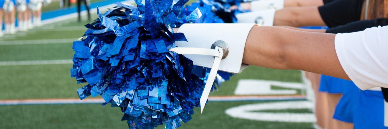 Hebron Silver Wings banner