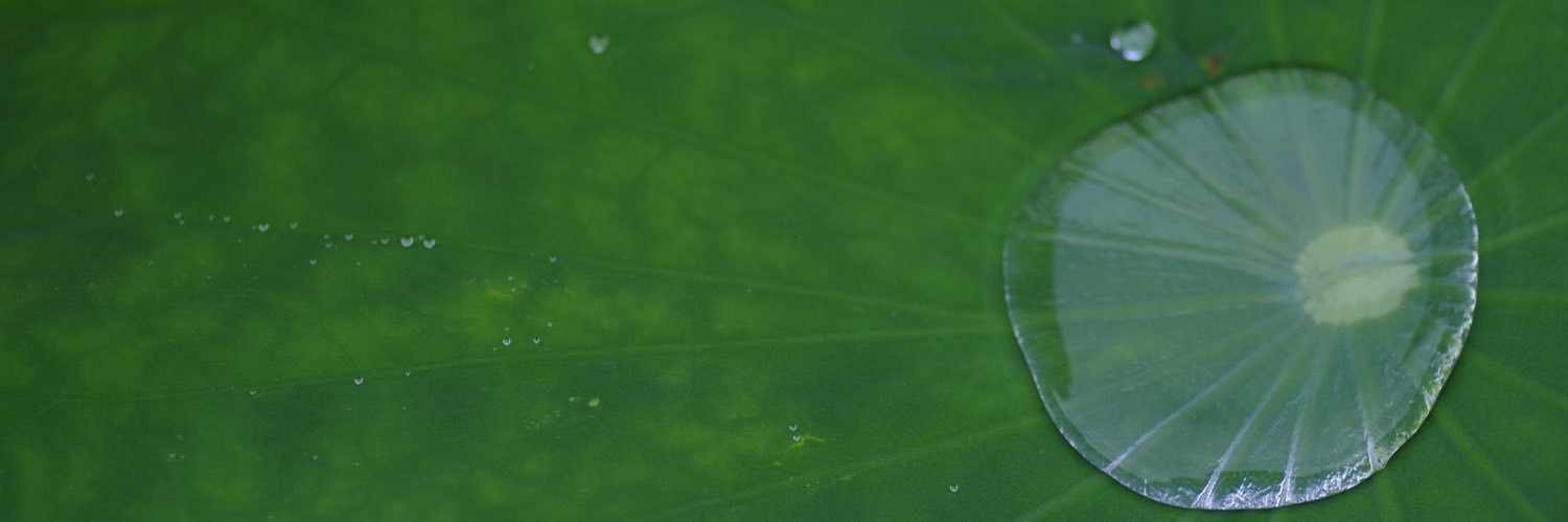 1000bero's profile banner image