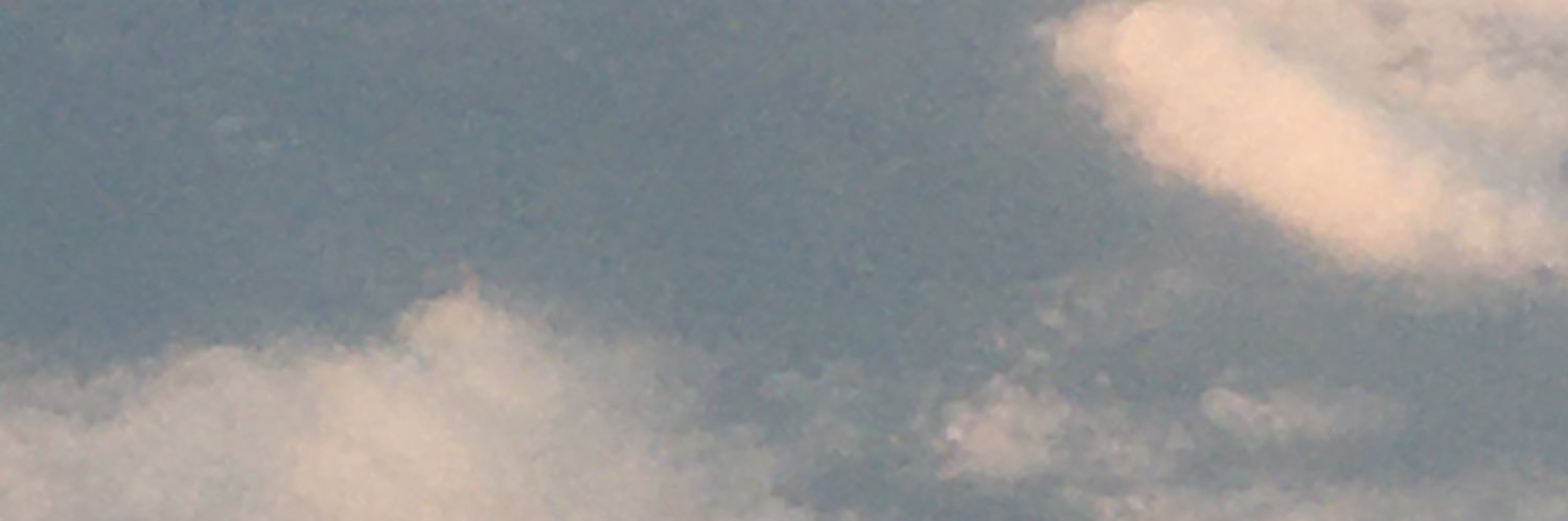 LeeMcGuire banner