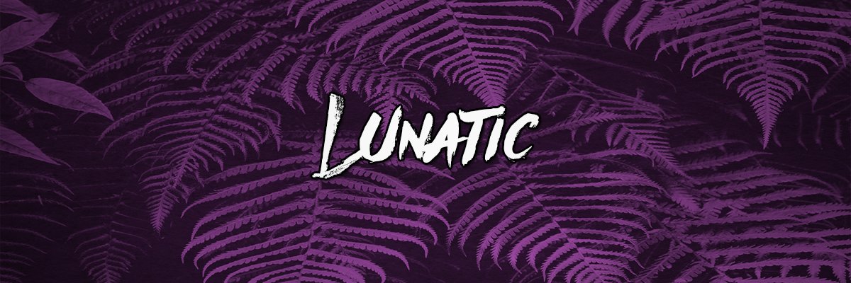 LunaTech banner